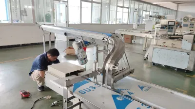 Carne de pollo Samosa de Verificación automática Máquina de embalaje de alimentos congelados Cartoning Cuadro de la máquina La máquina de embalaje