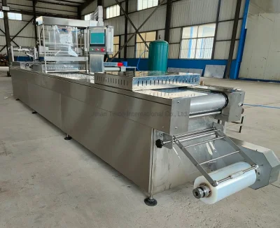 Venta caliente Precio fábrica de queso salchicha automática continua Termoformado vacío Máquina de embalaje
