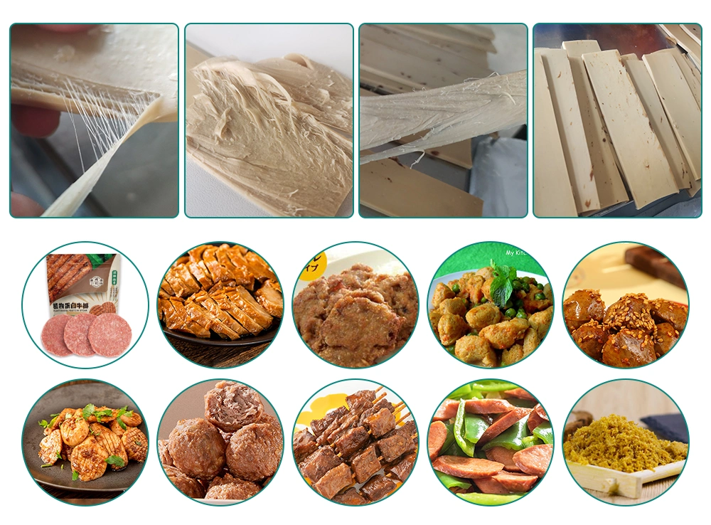 Dry Soybean Manufacturing Extruder Soya Protein Processing Machinery