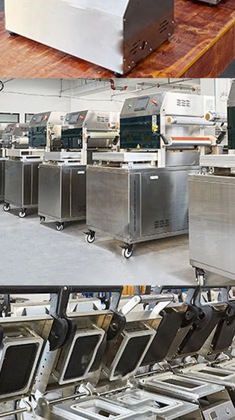 Vacuum Box Air Conditioning Fresh-Keeping Packaging Machine Lactone Tofu Vacuum Packaging Machine Machinery