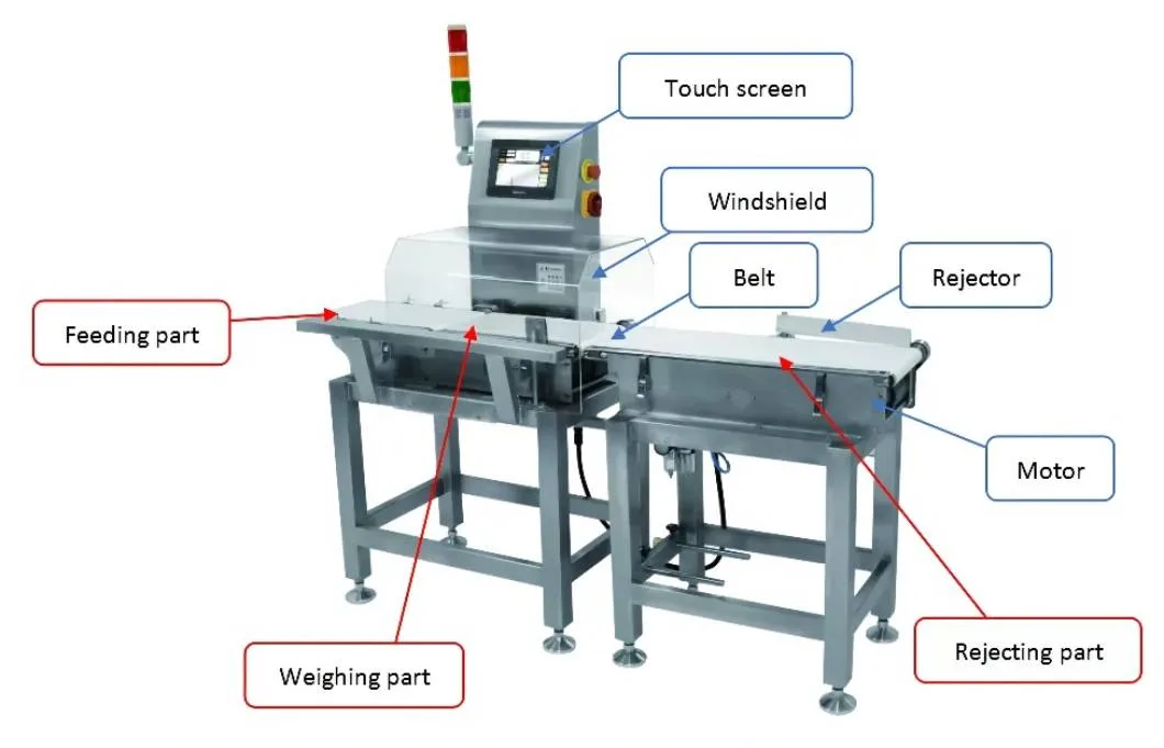 Automatic Weight Scale Weight Sorting Machine for Seafood Convey Belt Check Weigher for Packaging Line Weight Grading for Meat