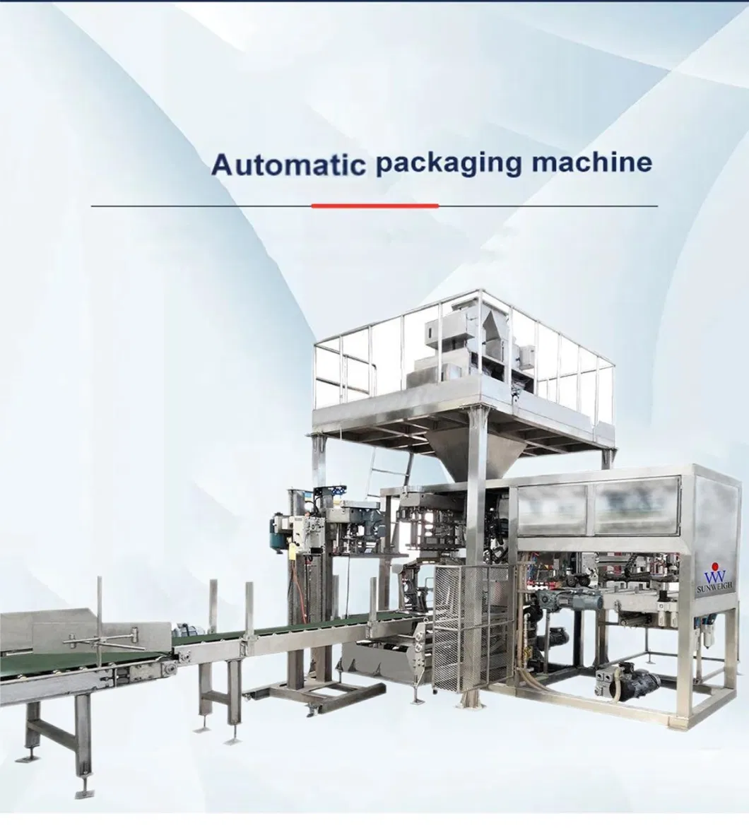 Fully Automatic Industrial Pillow Vacuum Packing Machine for Filling Sealing Packaging Vegetables, Tomato, Pepper, Dates