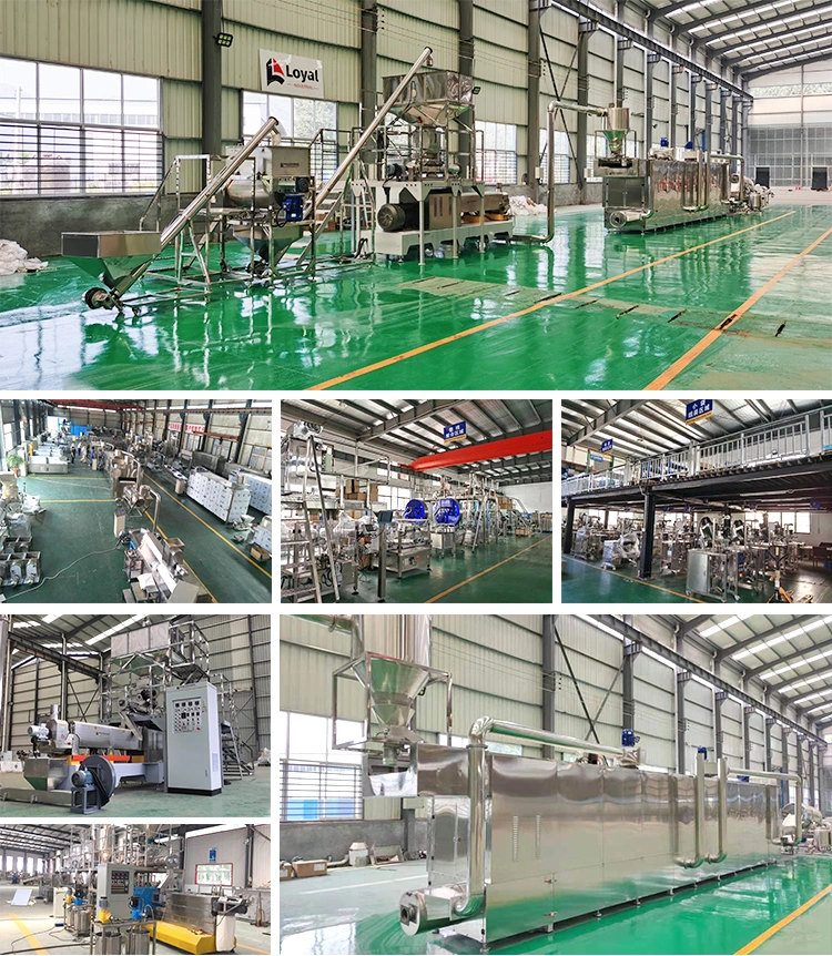 Vegetable Tissue Soya Chunks Processing Line Tissue Protein Making Machine