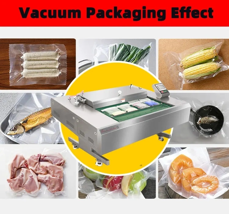 304 Stainless Steel Rolling/Continuous/Conveyor Vacuum Packing/Packaging/Wrapping Machine for Sausage/Sausages/Fresh Fish