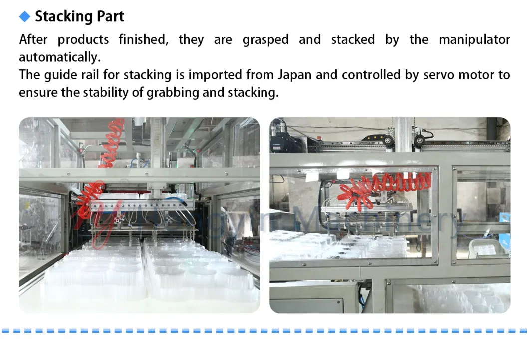 Plastic BOPS OPS Automatic Disposable Flat Tray Biscuit Tray Cake Box Thermoforming Machine