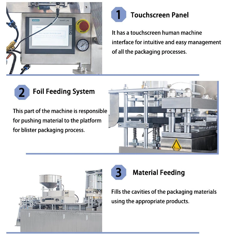 Dpb-250h Flat-Plate Chocolate Butter Liquid Biscuits Fully Automatic Toothbrush Medicine Blister Packaging Machine Cosmetic