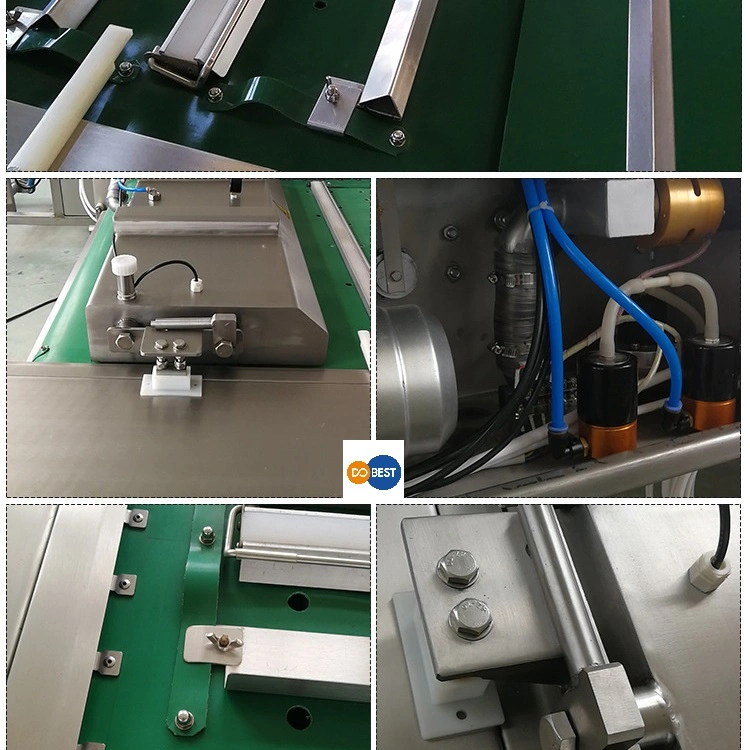 Manufacturer/Machinery/Supplier Continuous Transmission Belt/Roller Type Vacuum Sealer Packaging Machine Prepared Instant Smoked