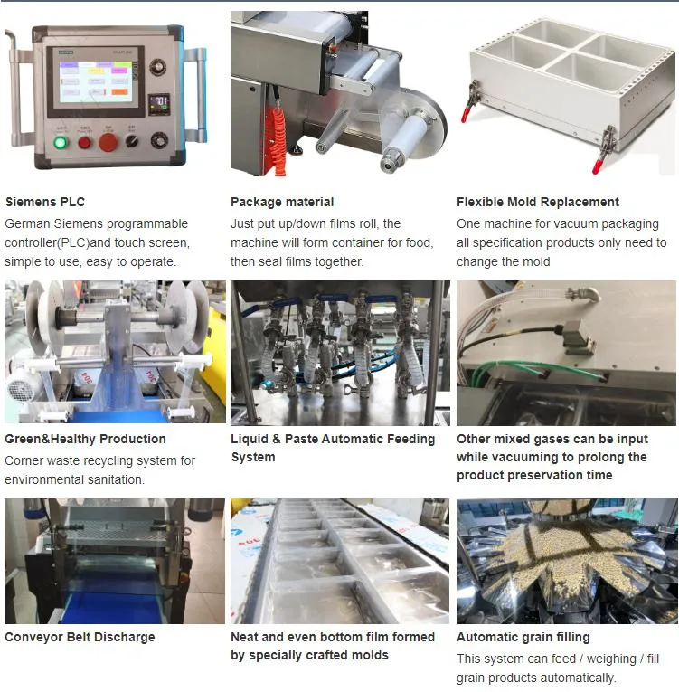 Vacuum Packing Line Machinery Modified Atmosphere Saffron Thermoforming Packaging Machine