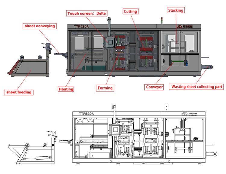 Sign Automatic Thermoformed Vacuum Machine for Production Seafood Sushi Bread Food Packaging Trays