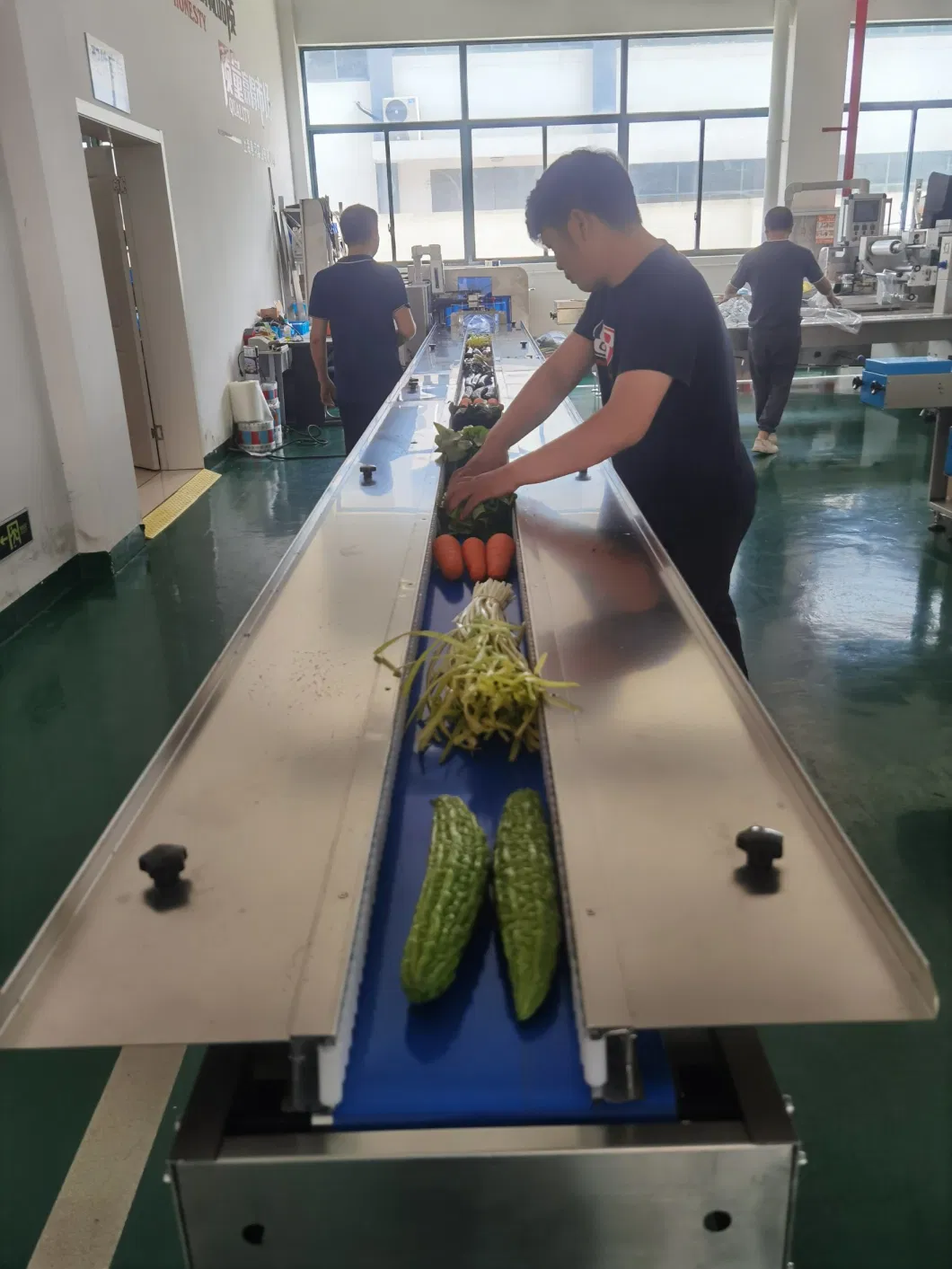 Easy to Operate Automatic Frozen Fresh Fruit and Vegetable Packing Machine Cucumber Packing Machine