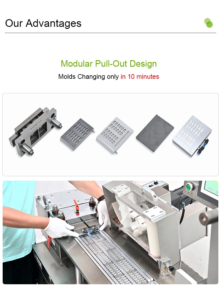 3 Years Warranty Dpp 140 Tablet Capsule Casing Blister Packing Chewing Gum Candy Pill Blister Packaging Sealing Machine