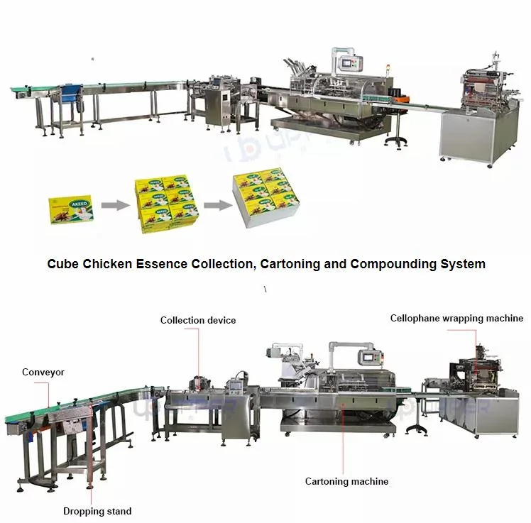 Automatic Meat Chicken Samosa Box Packaging Machine Frozen Food Cartoning Machine Box Packing Machine