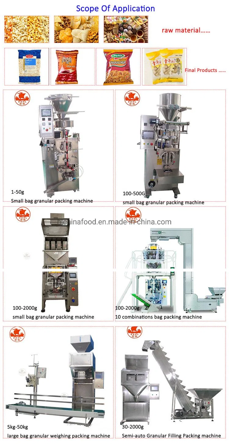 China Filling and Sealing Stainless Steel Frozen Fruits Vegetables Seeds Screw Rice Sugar Packing Machine 1kg 2kg 5 Kilo