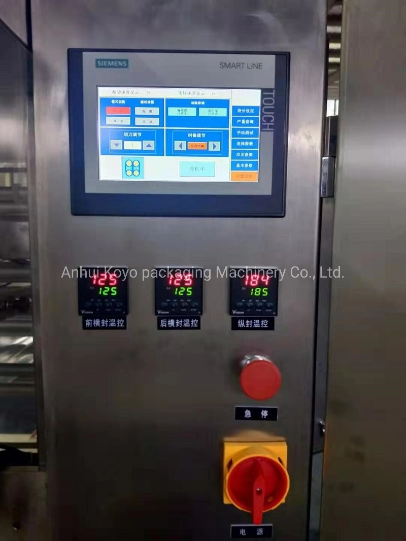 Automatic 1kg 5kg Grains Rice Plastic Bag Filling Packing Packaging Machine