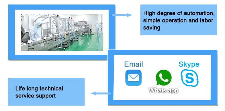 Dpb-250 Honey Sauce Tomato Paste/Tomato Sauce Jam Blister Packaging Machine Blister Packing Machine