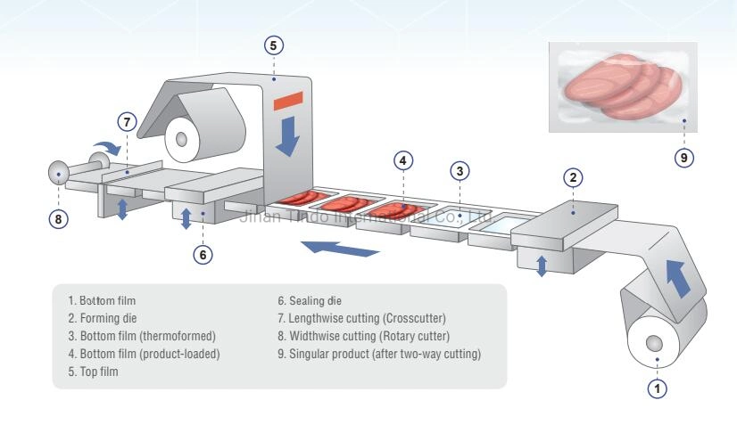 Rigid Film Modified Atmosphere Automatic Thermoforming Vacuum Packaging Machine Vacuum Packing Line for Cooked Food