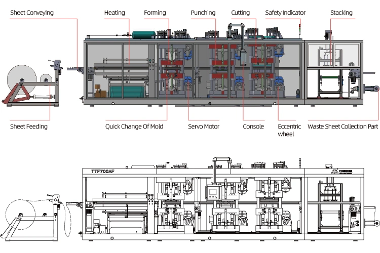 Fully Automatic Plastic Pallet and Lid Thermoforming Machine for Plastic Sheet