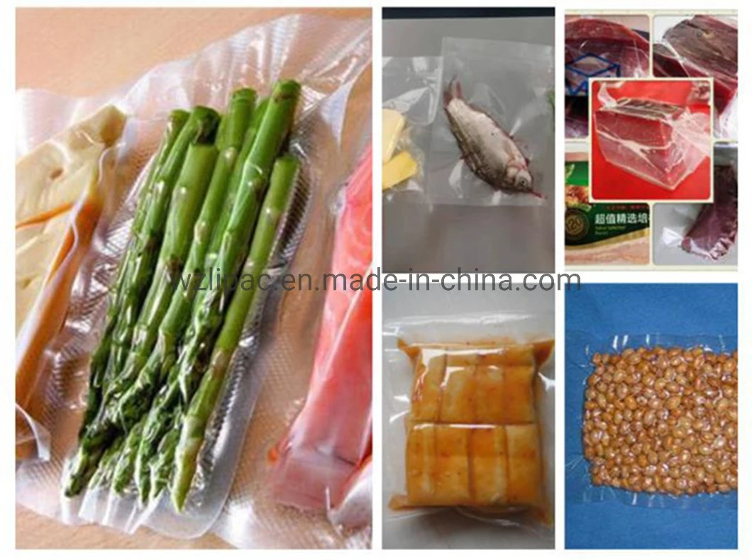 Single Chamber Vacuum Packaging Machine Commercial Vacuum Sealing Machine for Meat Fish Vegetables