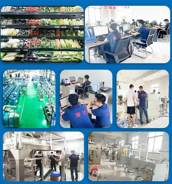 Fruit Punnet Citrus Packing Machinery Onion Mushroom Pepper Paper Frozen Meat Ready to Eat Food Cling Film Packaging Machine