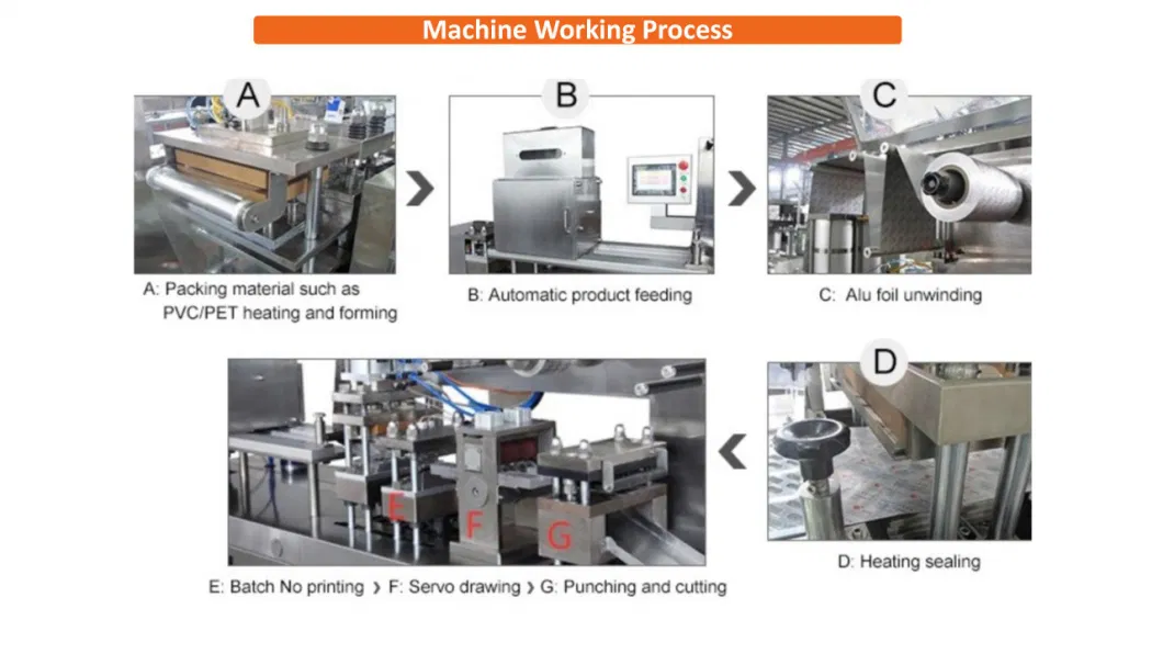 Dpb80 Thermoforming Automatic Jam Honey Spoon Blister Packaging Machine