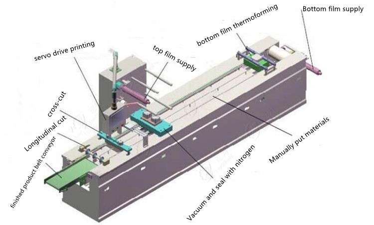 Full Automatic Bacon Sausage Meat Food Continuous Thermoforming Forming Line Vacuum Packaging Packing Machine