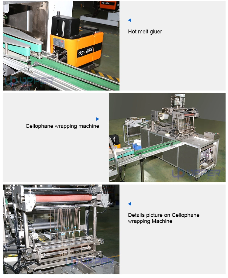 Automatic Meat Chicken Samosa Box Packaging Machine Frozen Food Cartoning Machine Box Packing Machine