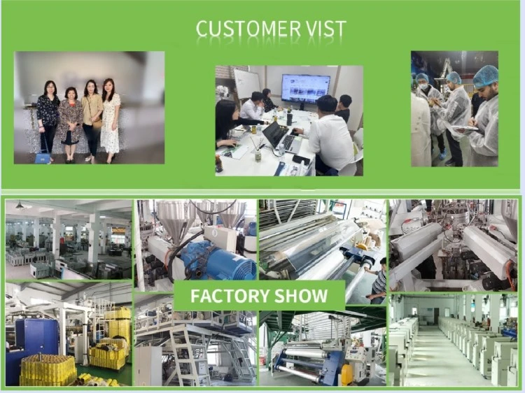 Fruits Frozen Pizza Coffee Cucumber Food Tray POF Shrink Wrapping Packaging Machine Shrink Packing Wrap Sealing Machine