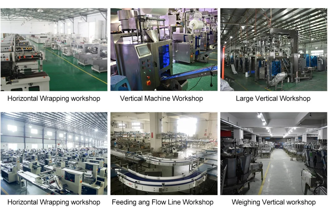 Automatic Biscuits/Instant Noodles/Popcorn/Chips Products Food Form Fill Seal Wrapping Flow Packaging Packing Filling Sealing Machine
