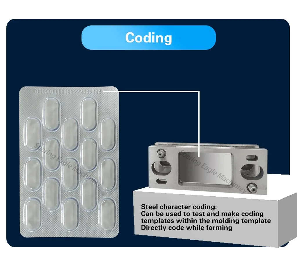 Automatic Dpp Thermoforming Tablet Candy Tablet Capsule Blister Packaging Machine