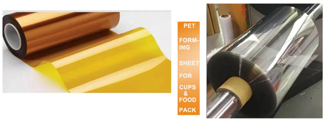Biscuit, Fruit &amp; Vegetable Plastic Pet Sheet Extrusion