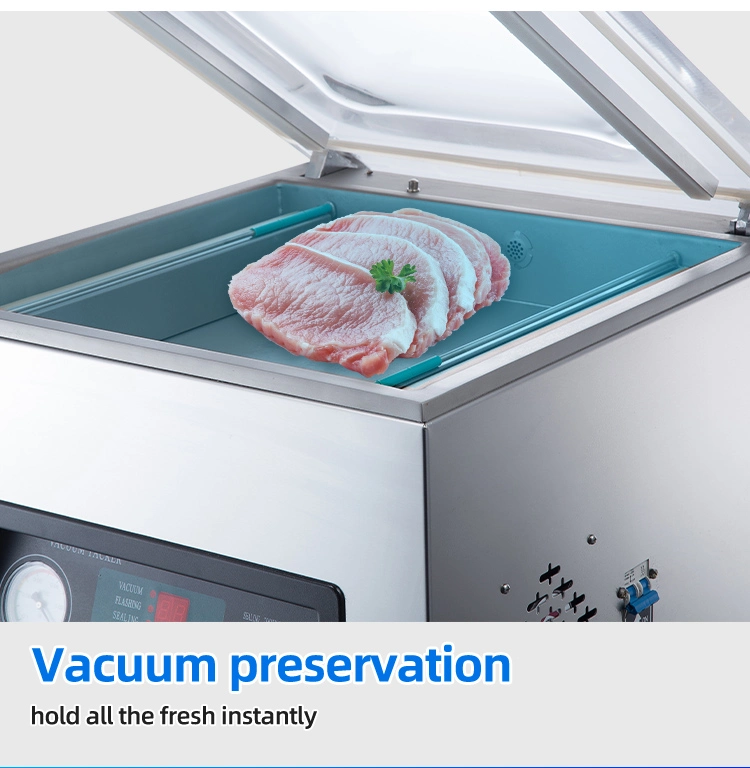 Commercial Wet and Dry Industrial Cheese Meat Food Vacuum Sealer Packaging Machine (DZQ-400)