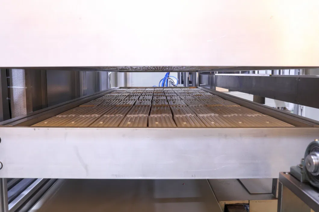 Plastic Cheese Bread Pear Tray Making Machine