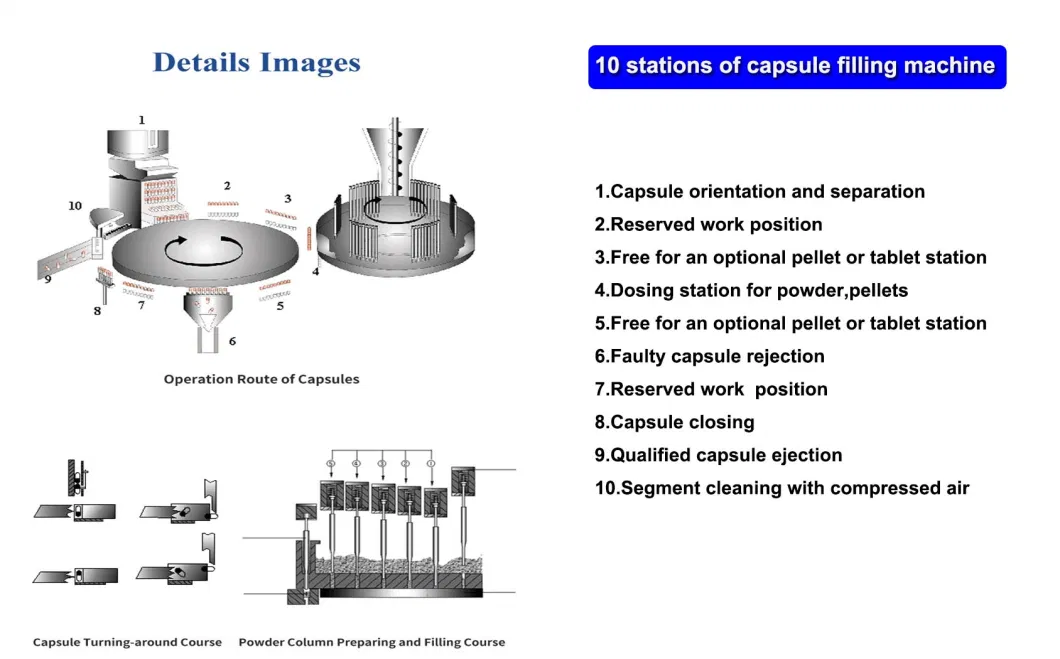 HPMC/Gelatin/Halal/Vegetarian/Hollow/Pullulan/Empty/Hard/Vegetable/Clear Capsules Filling Packing Machine/Encapsulation Machine (NJP-1200)