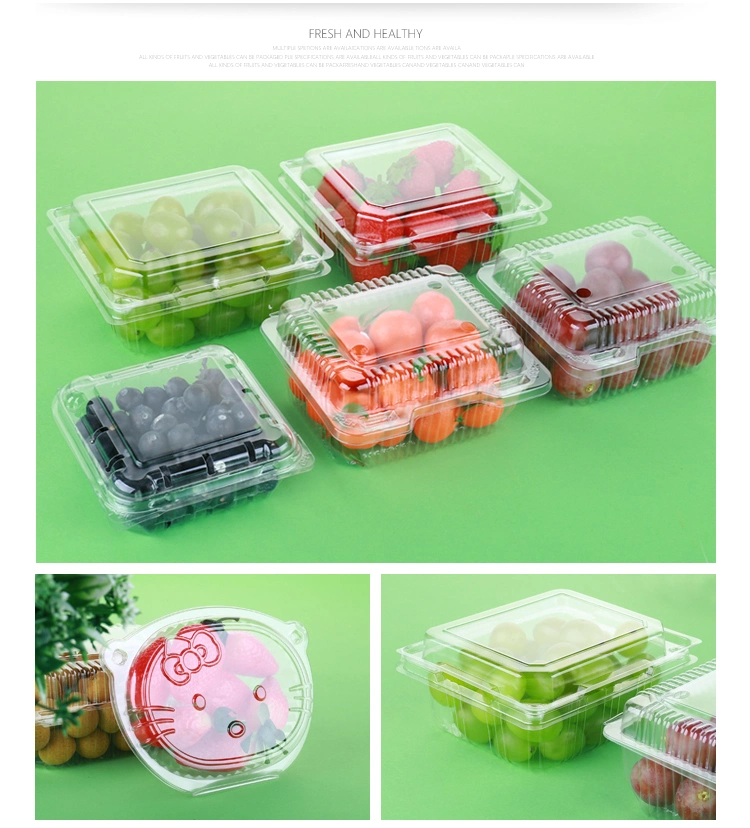 Sushi Tray Mobile Phone Blister Packaging Box Plastic Food Container Thermoforming Machine