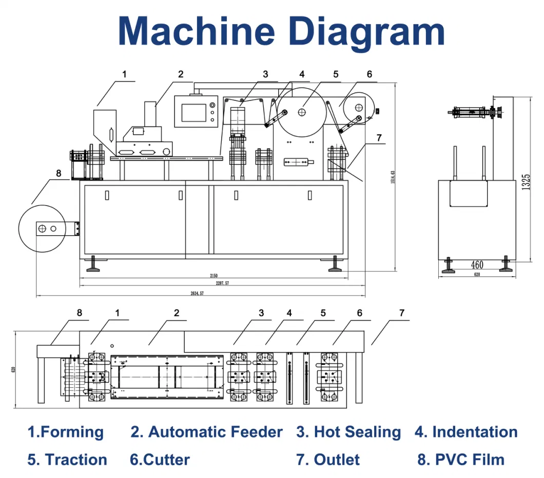 Customized Fully Automatic Thermoforming Sealing Capsule Candy Gummy Pill Tablet Capsule Disposable Syringe Automatic Blister Packing Packaging Machine