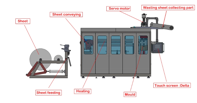 Fully Automatic Plastic Cup Lid Forming Machine Clamshell Blister Packaging Meat Box Thermoforming Machine China