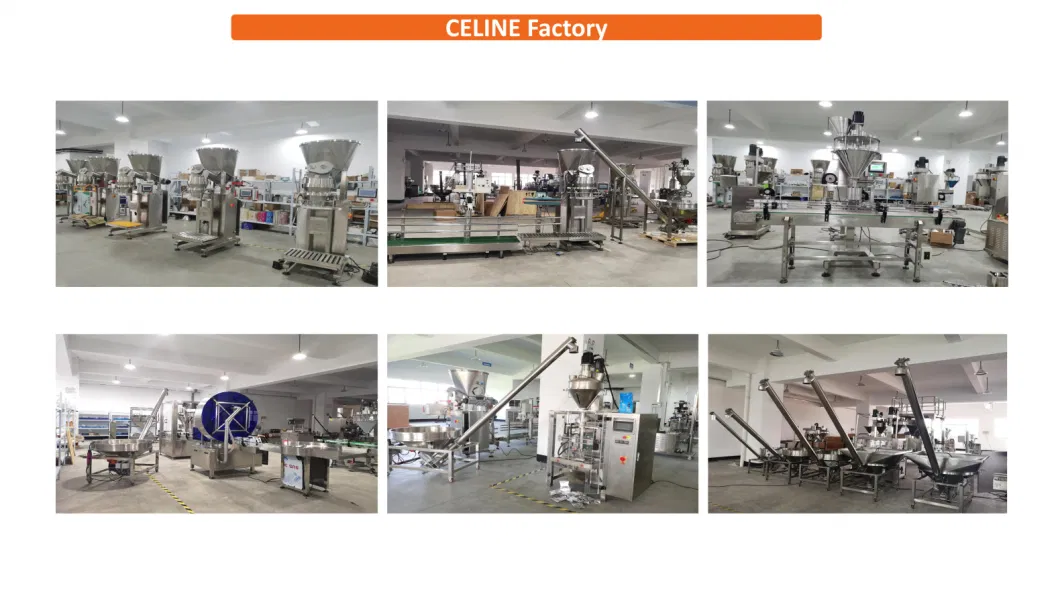 Fully Automatic 500g 1kg 2kg 3kg 4kg 5kg Dry Milk/Spice/Coffee/Protein/Curry/Meal Replacement Powder Filling Packing Packaging Machine