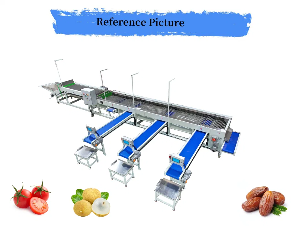 Streamlined Fruit Processing and Packaging Equipment Vegetable Sorting Grading Line Cherry Tomato Processing Machine
