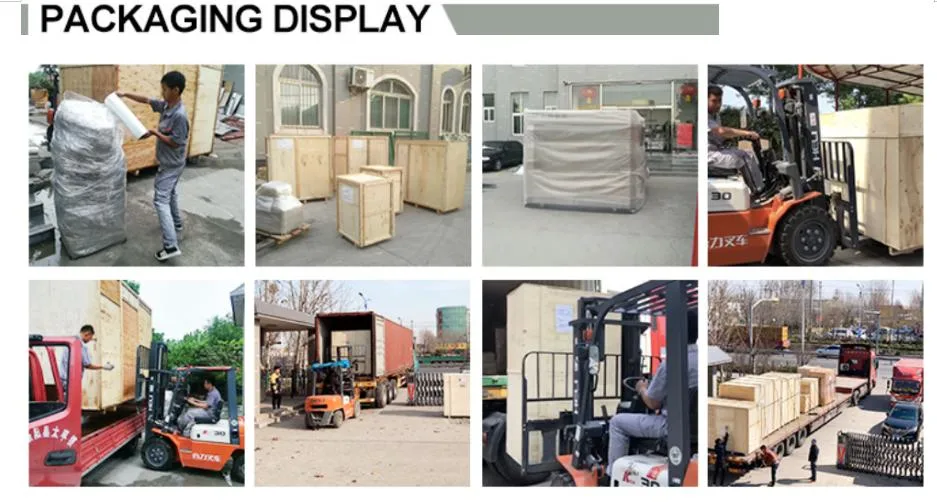 Large Thermoforming Vacuum Packaging Linedates Meat Cheese Sausage Pickles Stretch Film Packing Machinery