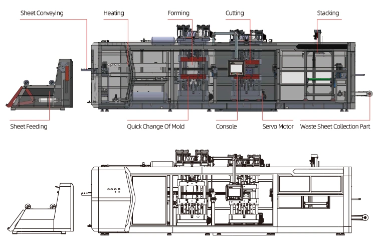 PS Pet Plastic Fish/Fruit/Vegetable Packaging Box Making Thermoforming Machine