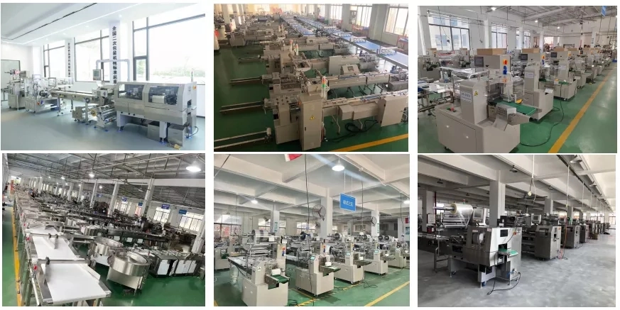 Sandwich Biscuits on Edge Pack Bag Flow Pack Packing Packaging Machinery