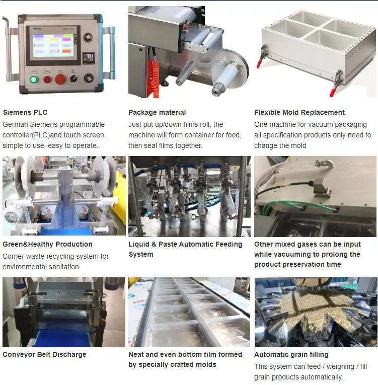 Industrial Packaging Line Machinery Customization Rice Dried Fruit Vacuum Skin Packaging Machine