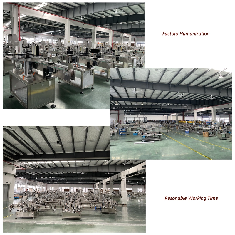 Horizontal Flow Pillow Wrapper Packing Machinery Burger Bun Biscuit/Wafer/Cookie/Sliced Bread/Moon Cake/Bun Small Food Packaging Wrapping Machine