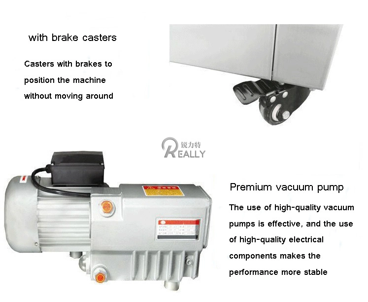 Vacuum Packaging Machine Meat Rich Electric Plastic Bag Food Sealer Pneumatic Dry Wet Pumping Packaging Machine