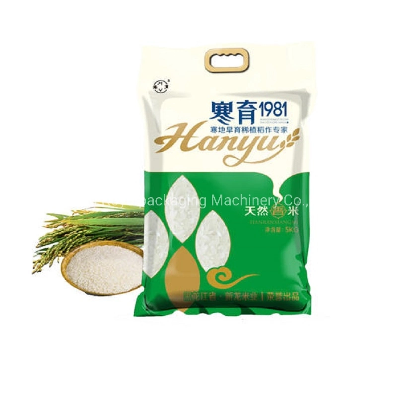 Kyv730bdry Dried Food Potato Fruit Vegetable Vacuum Bagging Packing Sealing Packaging Machine Plastic Pillow Bag
