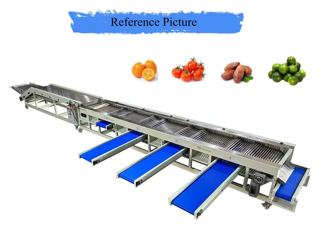 Streamlined Fruit Processing and Packaging Equipment Vegetable Sorting Grading Line Cherry Tomato Processing Machine