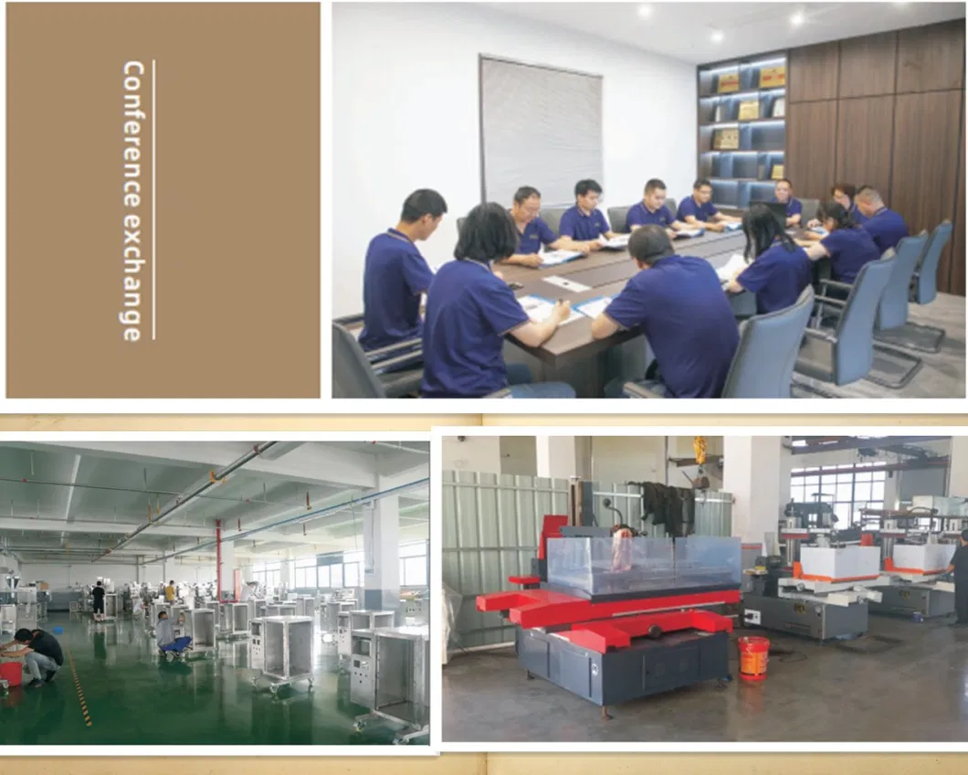 Automatic Multi Column Efficient Food Packaging Medicine Packaging Hareware Packaging Toys Packaging Machine Granule Products Packing Equipment