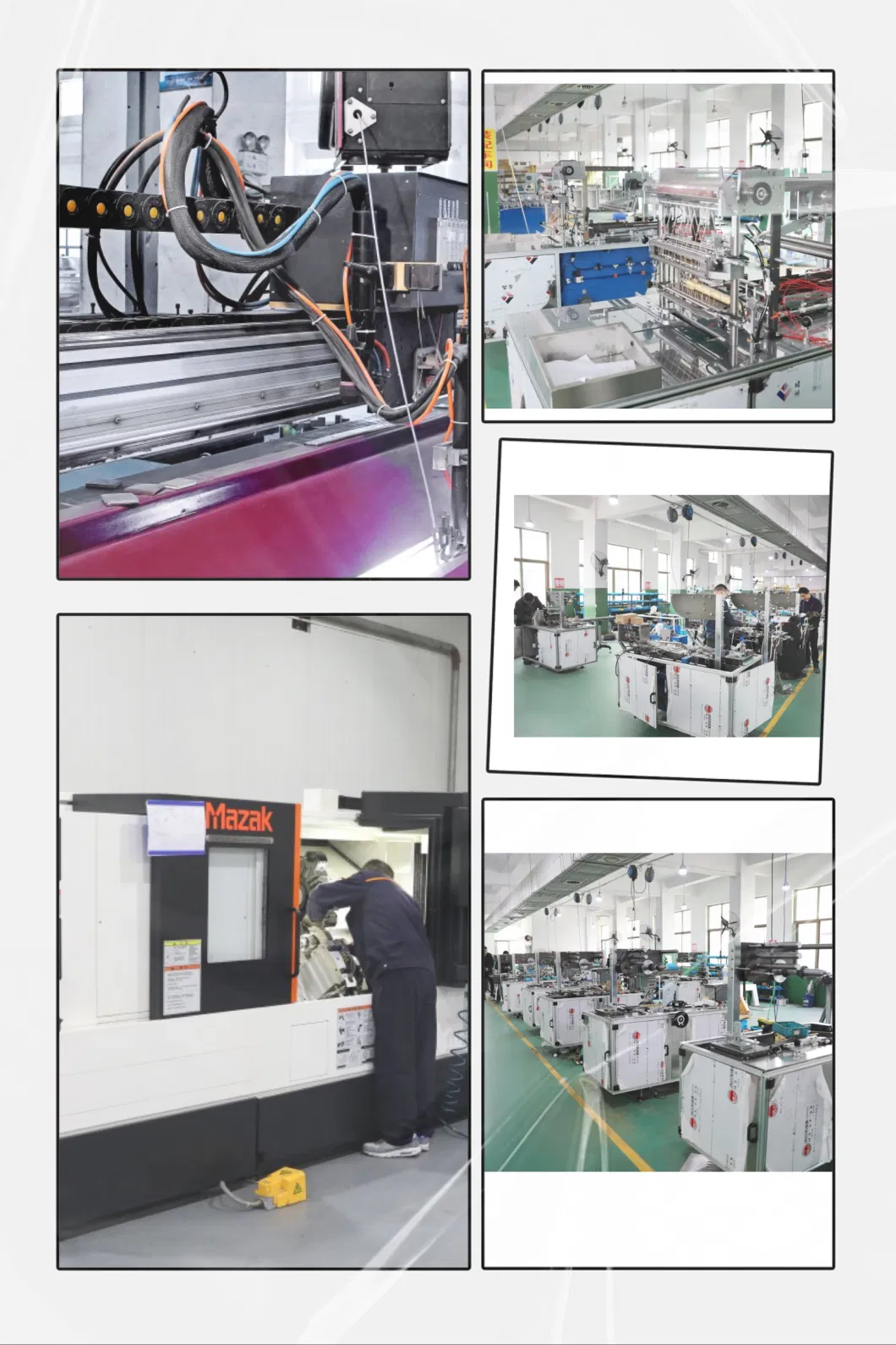 Automatic Packaging /Packing /Wrapping /Overwrap Cellophane Machine for Food Tea Pack Bread Box