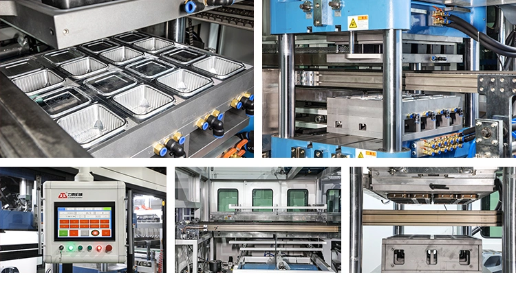 Fully Automatic Plastic Pallet and Lid Thermoforming Machine for Plastic Sheet