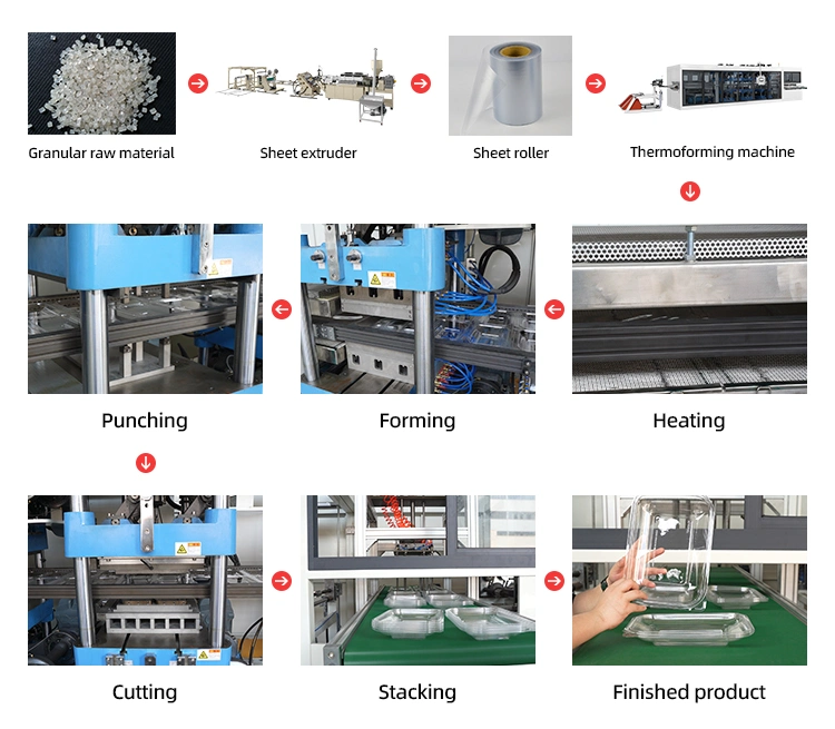 Fully Automatic Plastic Pallet and Lid Thermoforming Machine for Plastic Sheet